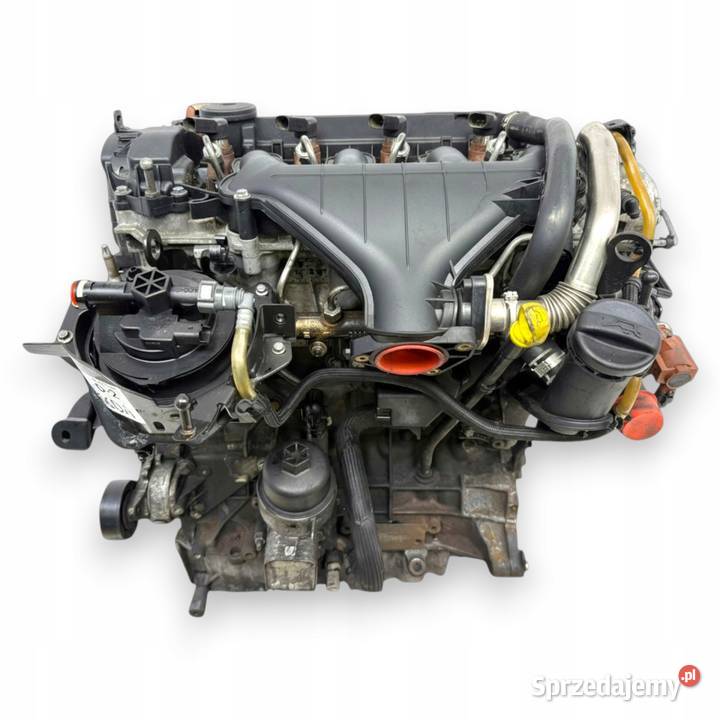 SILNIK G6DA Ford C C Focus MK2 20 TDCI 136 G6DB osobowe Chełm