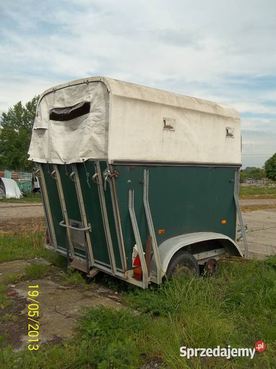 przyczepka koni Boeckmann