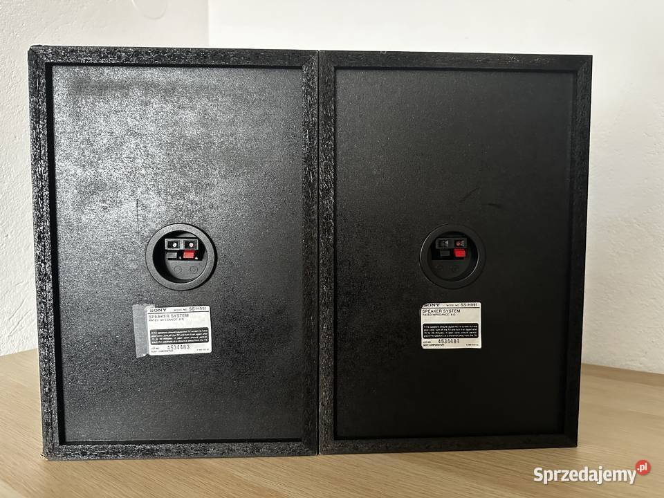 Kolumny SONY SS H991 wysyłka Gołąb