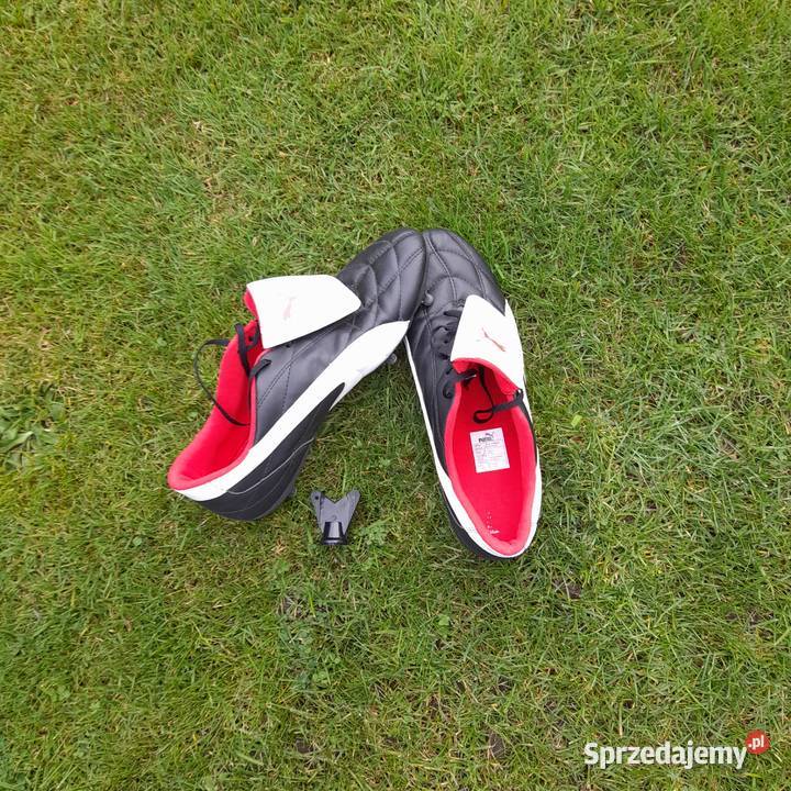 Korki Puma Mosty