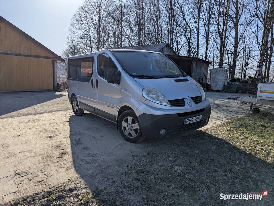 Renault Trafic 20 dCi 9 osób Webasto Hak 2007 Trafic Golcowa