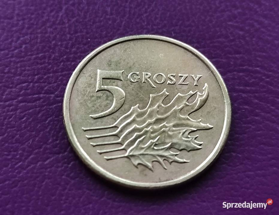 Moneta 5 groszy 20 6 r Destrukt menniczy Pruszków