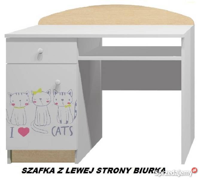 CATS 39 B10 biurko dziecięce 100x50 w74