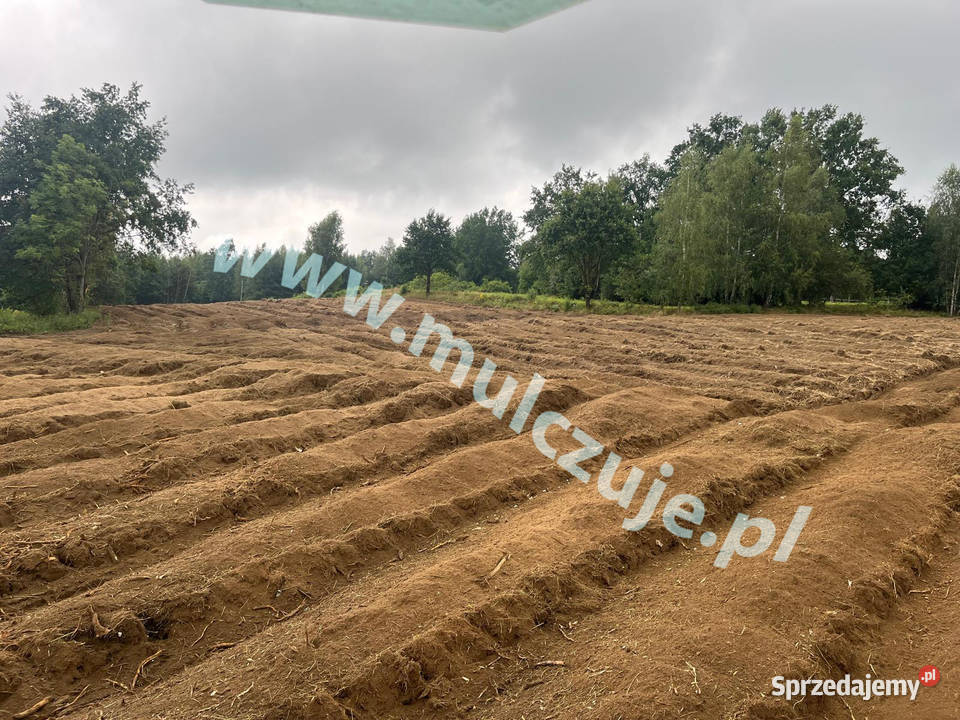 Karczowanie działekMulczowanie wgłębne i