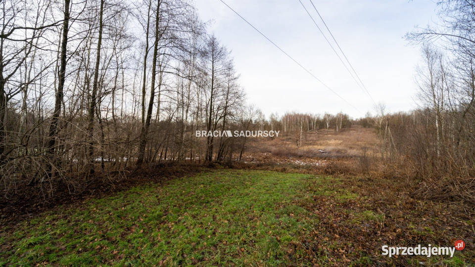 Grunt sprzedam 3296m2 Skawina Bukowska