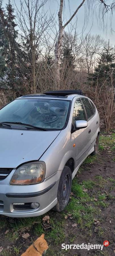 Nissan almera tino wszystkie części