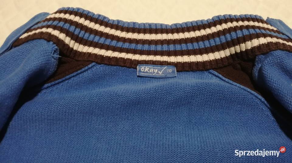 Bluza rozpinana Okay 110 Dinozaur Dino Odzież