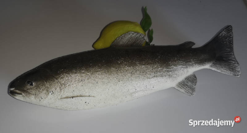 Sztuczne ryby do dekoracji Łódź