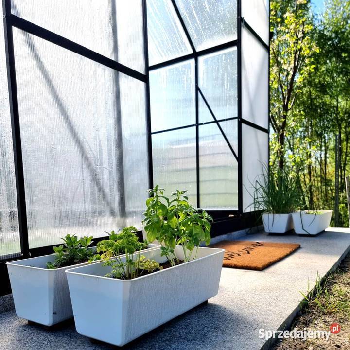 Płytki Granit G603 Bianco Cristal płomieniowany Lębork