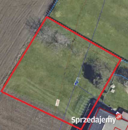 Sprzedam działkę budowlana o pow 9 ar Szówsko 900m2 Sprzedaż