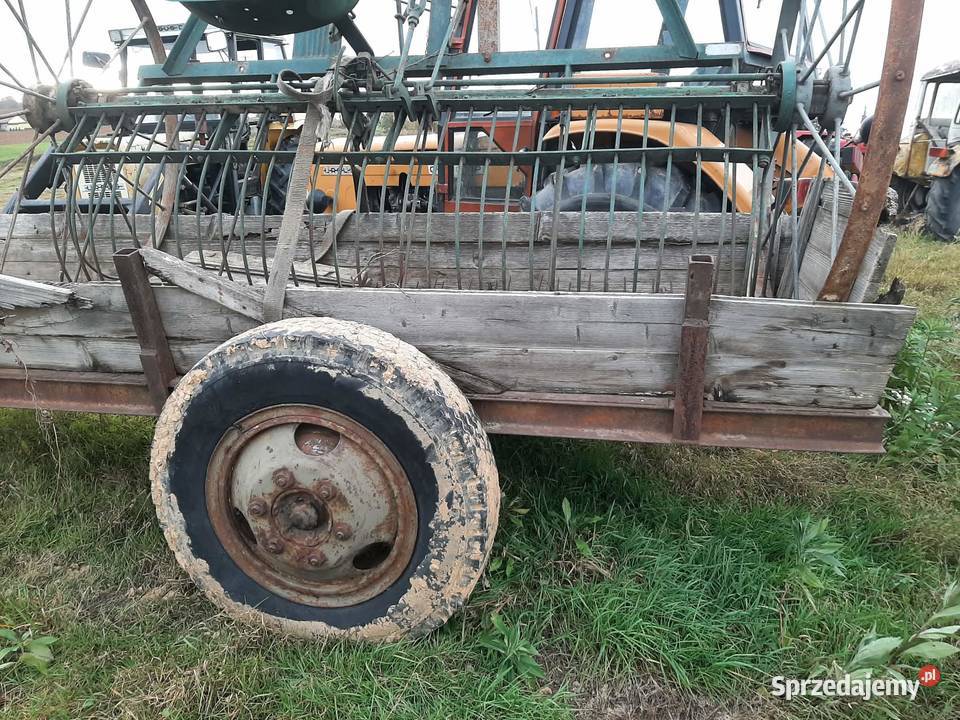 Przyczepa na drewno ziemniaki itp z hamulcem Przyczepy rolnicze Dębica