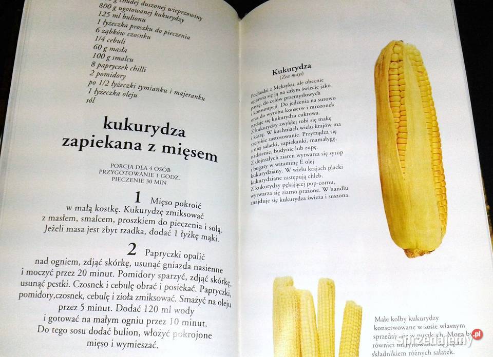 Encyklopedia sztuki kulinarnej Tom 32 Warzywa Pozostałe Chełm