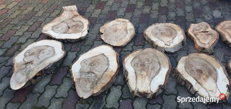 Plastry drewna orzech Pakość
