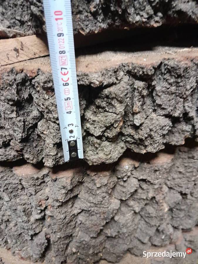 Plastry dębowe 60 różne grubości lite drewno Dąbrowa Górnicza