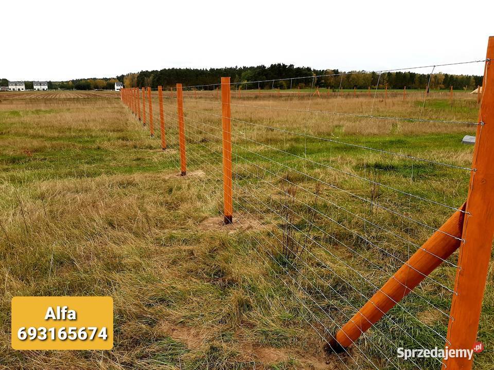 Ogrodzenia z siatki leśnej tymczasowe budowlane sprzedam