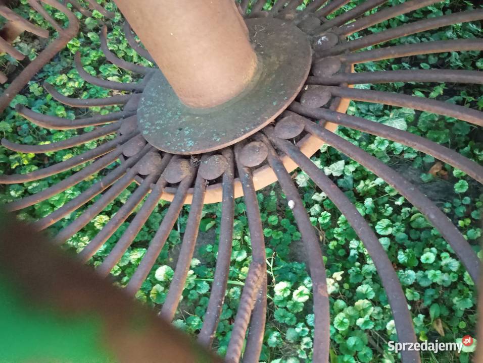 kombajn do buraków Stoll v202 Kórnik