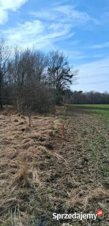 Działki budowlane 675 ha MORZEM Ustka Słupsk Sprzedaż Nieruchomości Charnowo
