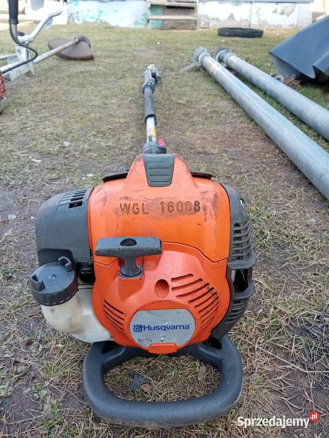 Nozyce do zywoplotu lubelskie Łuków