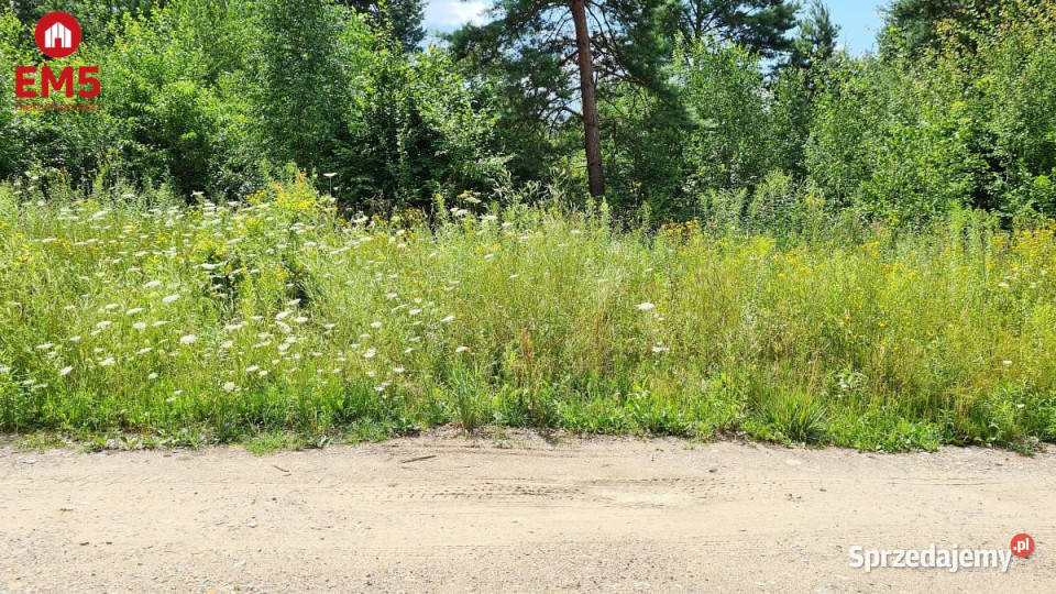 Do sprzedaży grunt 1370m2 Skrybicze 837m2 Ciasne