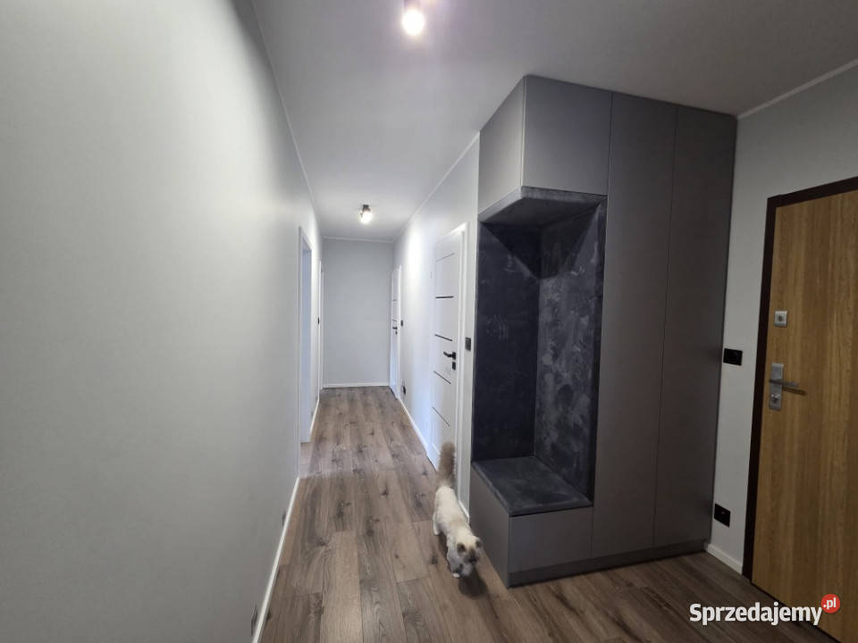 Nowoczesne 3 pokoje na Grunwaldzie Osiedle Poznań