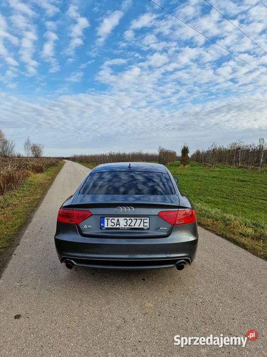 Audi A5 nieuszkodzony Klimontów