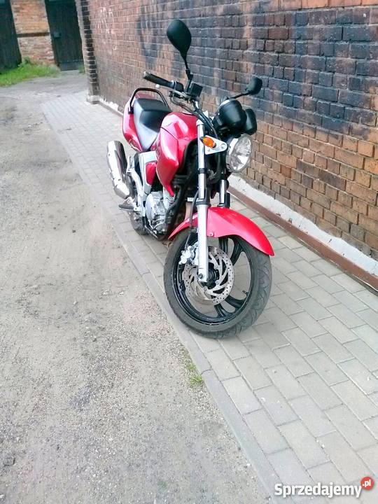 Yamaha YBR 250 2009 A2 Przygotowany do sezonu Tczew