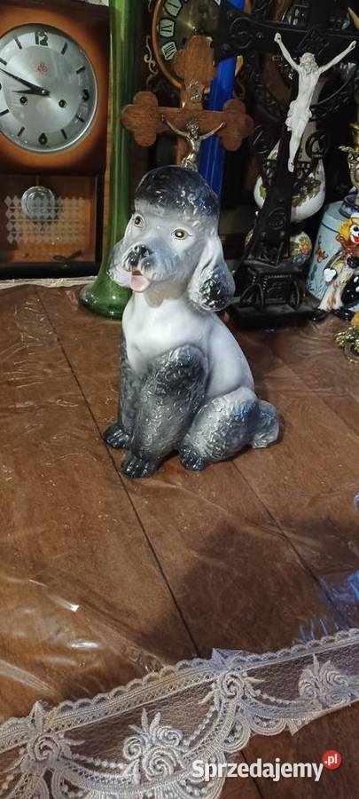 PIES PUDEL VINTAGE CERAMIKA Swarzędz