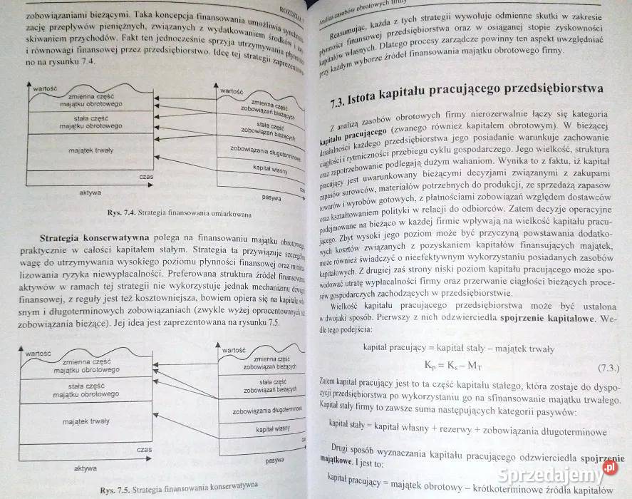 Analiza ekonomicznofinansowa firmy Z Leszczyński miękka Chełm