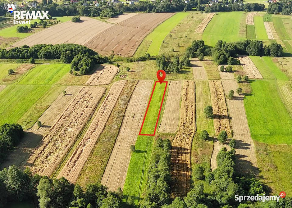 Działka rolna natury 15zł/m2
