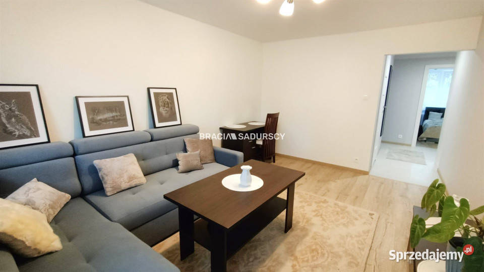 wynajmu mieszkania 443m2 2 pokojowe Kraków