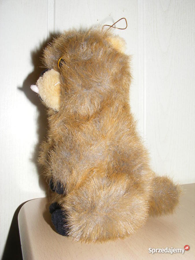 Świstak interaktywny Radom