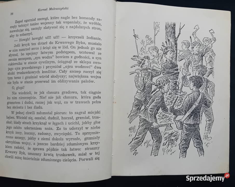 Kornel Makuszyński Bezgrzeszne lata Wydawn