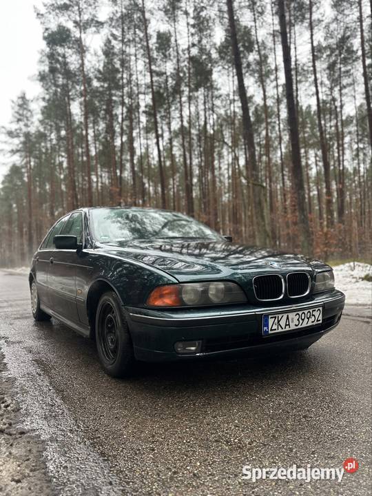 BMW e39 r6 150 zielony Międzyzdroje