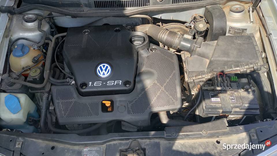 VW Golf 4 16 SR 101 8 zaworowy 1997r manualna Włocławek