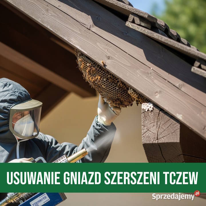 Zwalczanie Szerszeni Tczew Usuwanie Gniazd