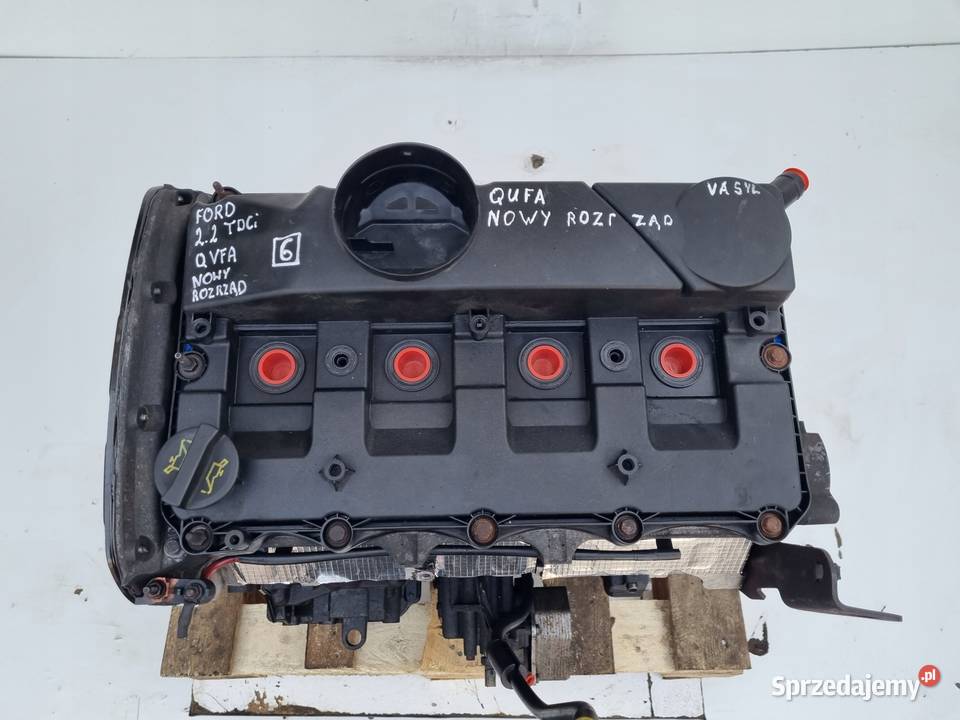 SILNIK SERWISIE Ford Transit VII MK7 22 TDCI 110 Rudka