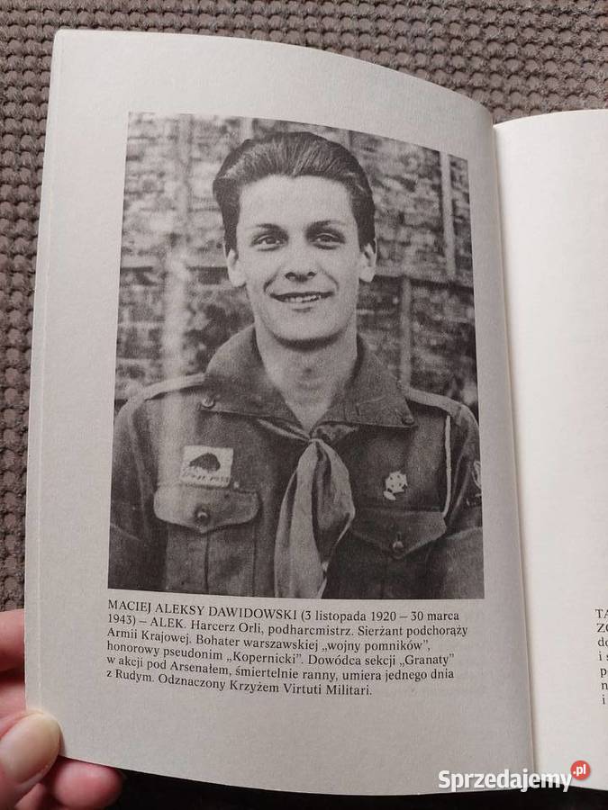 Kamienie na szaniec Aleksander Kamiński