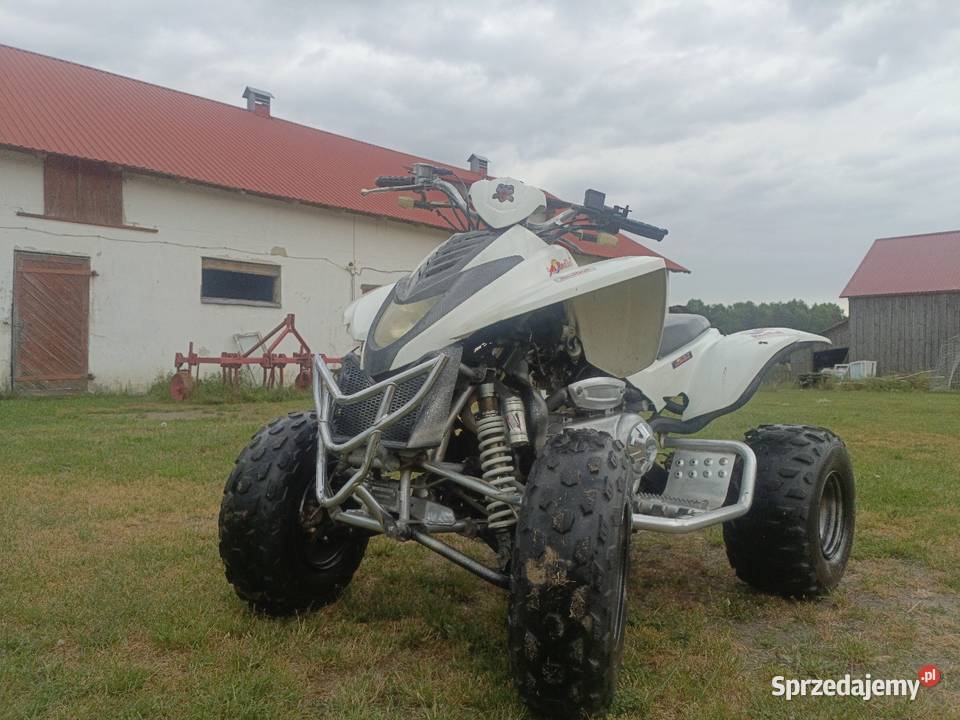 Quad dinli dl801 3003 Motocykle, skutery, quady Biała Podlaska