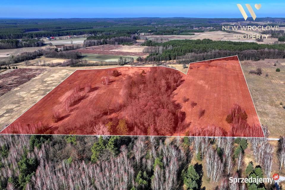 Działka rolna las Czeszów gmina Zawonia 111700m2 dolnośląskie
