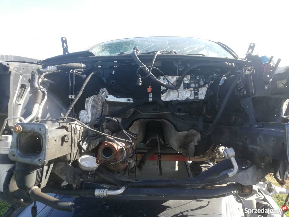 AUDI A4 B7 W CAŁOŚCI NA CZĘŚCI NIE ANGOL podkarpackie Jasło