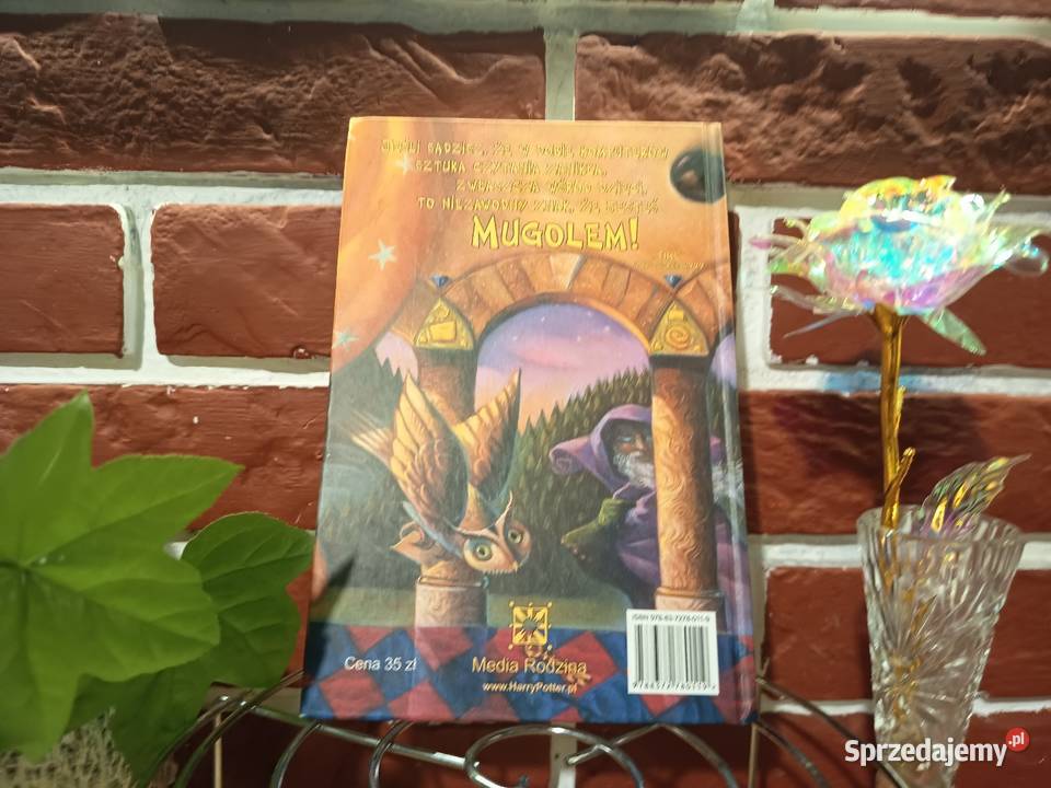harry potter i kamień filozoficzny jk rowling Edukacyjne Bydgoszcz