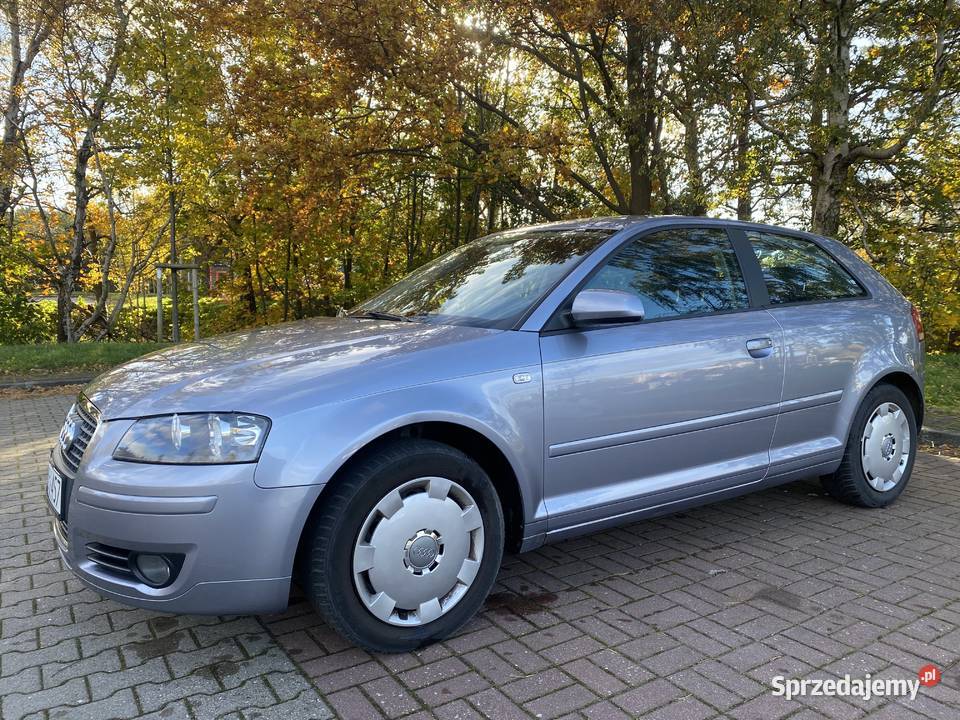 Audi A3 Attraction 16 Benzyna 8P Rok produkcji 2007 Gdańsk