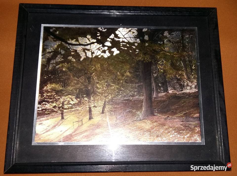 Obraz laserowy 22x27 jesień i zachód słońca na Łódź