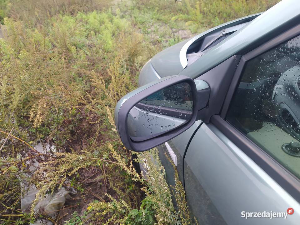 Lusterko lewe Renault scenic 2 2003 20 benzyna Wartkowice