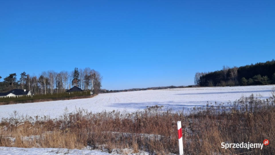 Syndyk sprzeda udziały w prawie własności 10225m2 mazowieckie Nowe Iganie sprzedam
