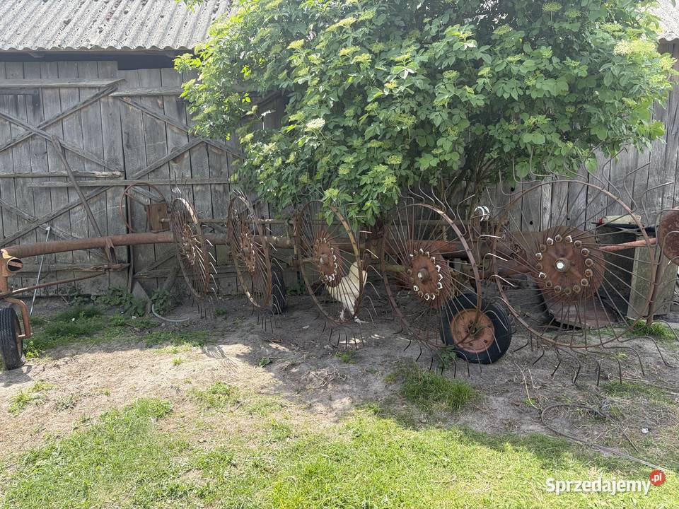 Przetrząsacz do zbioru i zgrabiania siana