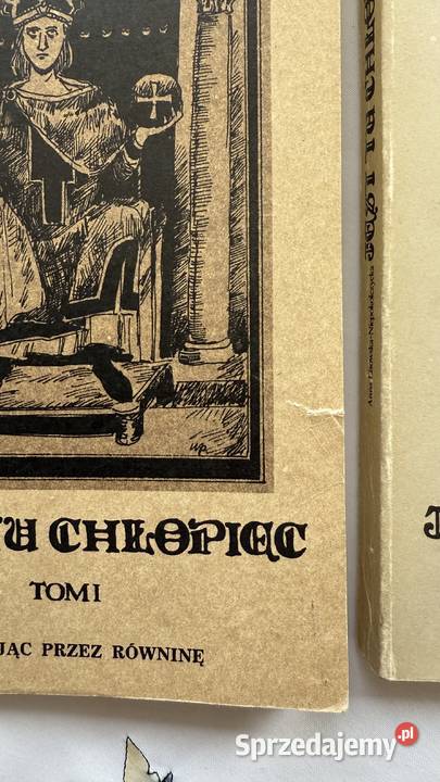 Jest tu chlopiecksiazka t1 i 2 ALisowska lubelskie Lublin