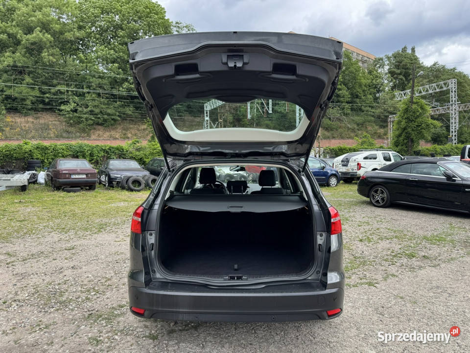 Ford Focus nieuszkodzony