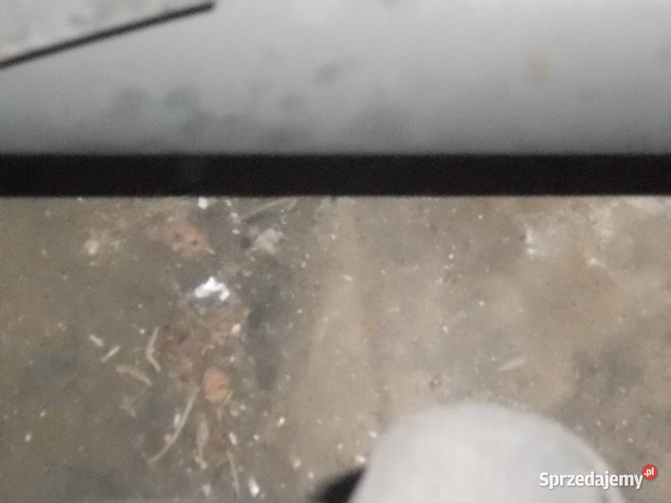 Wal napedowy iveco daily 170KM Kielce