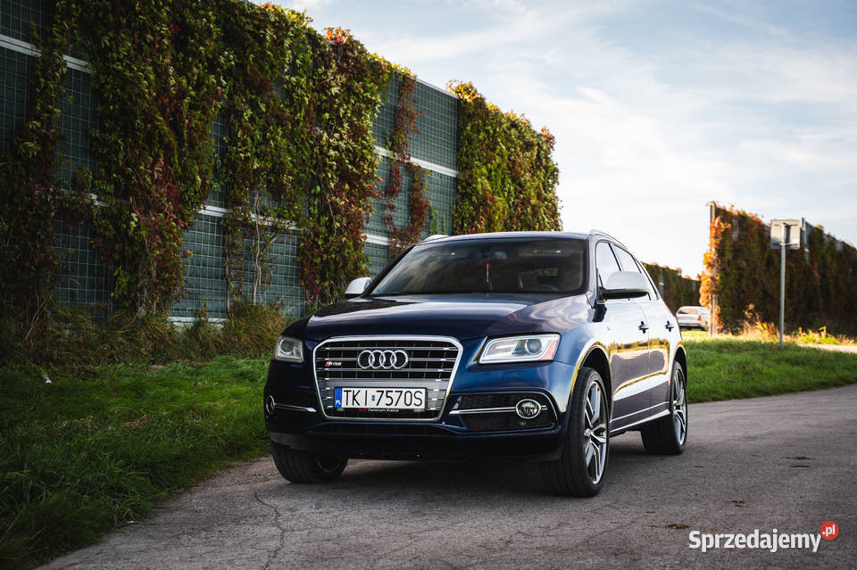 Audi SQ5 3.0 V6T Premium Plus Piekoszów